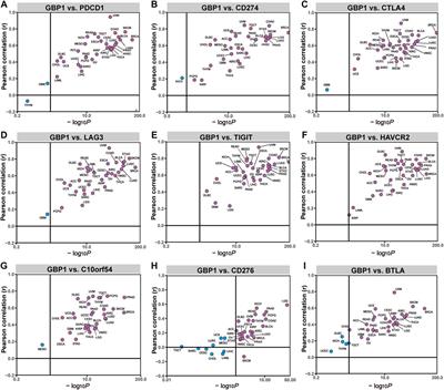 Guanylate-Binding Protein 1 as a Potential Predictor of Immunotherapy: A Pan-Cancer Analysis